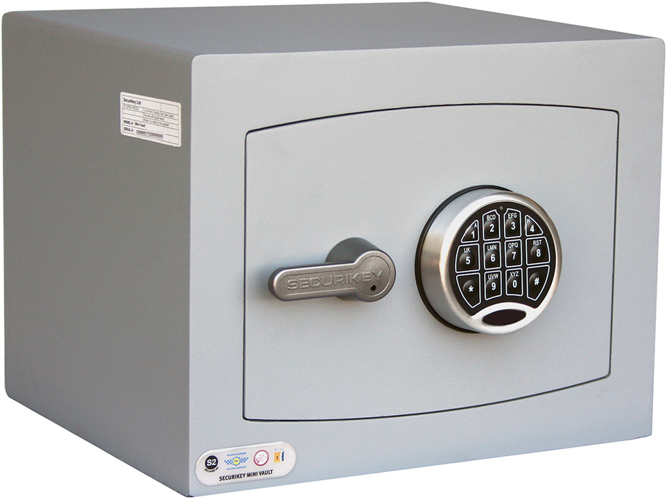 Mini&#x20;Vault&#x20;Silver&#x20;1E